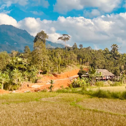 paysage vietnamien maison bois