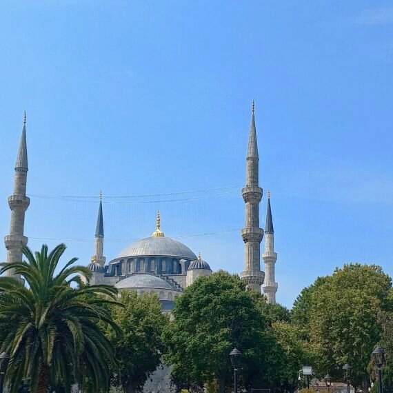 Mosquée bleue entourée de palmiers, photo extérieur