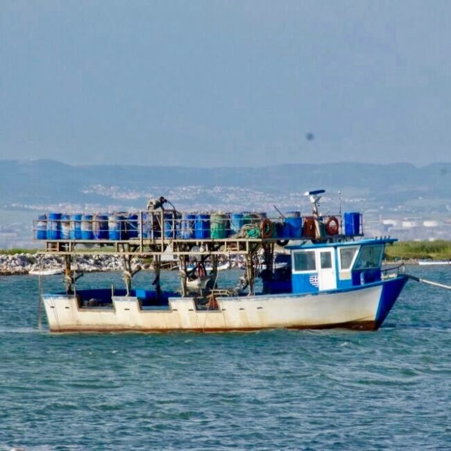 bateau voguant sur la lagune