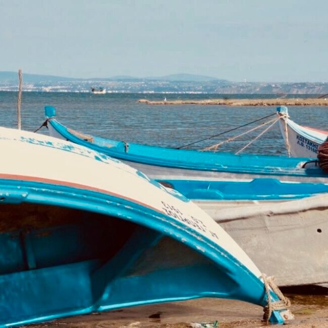 barques de pêcheurs blanches et bleues