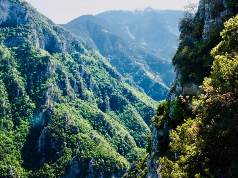 Vue sur les montagnes boisées depuis le mont olympe